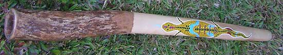 You could buy this Didjeridoo with the voucher