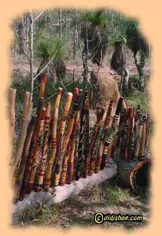 Unsere Didgeridus vor dem passenden Hintergrund - dem australischen Busch