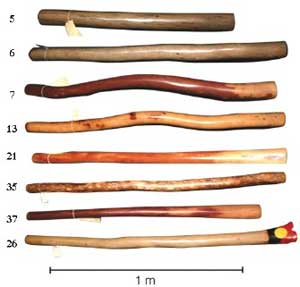 8 Different Didgeridoos