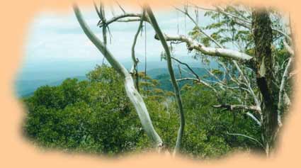 Australia's wild landscape - like Aboriginal culture, much, but not all,  of it has been destroeyed since European invasion