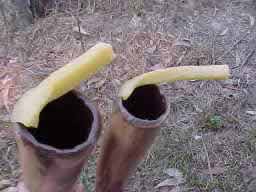 stages in repairing a didgeridoo mouthpiece