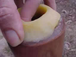 stages in repairing a didgeridoo mouthpiece