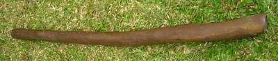 Very rare didgeridoo made from a dead tree