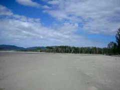 Cape Tribulation Beac