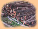 log pile